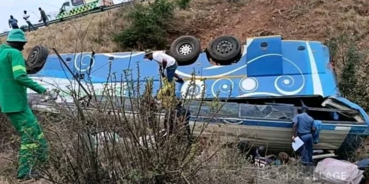 ARV drugs found in Limpopo bus crash raise smuggling fears