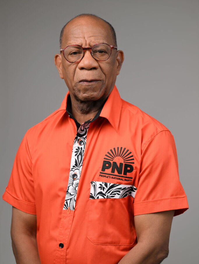 Buchanan challenges Holness win in court