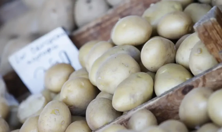 Bulgarian potato farmers struggle as imports flood market
