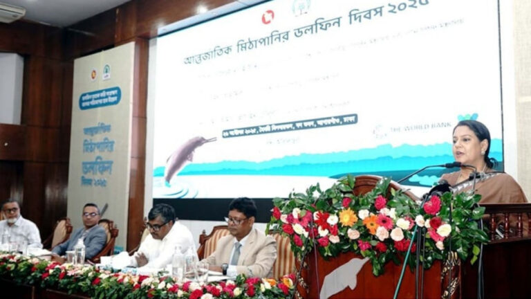 Dolphins vital to river health, says environmental adviser