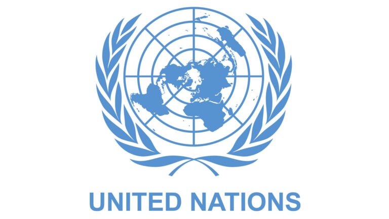 Houthis hold 20 UN staff in Sanaa raid