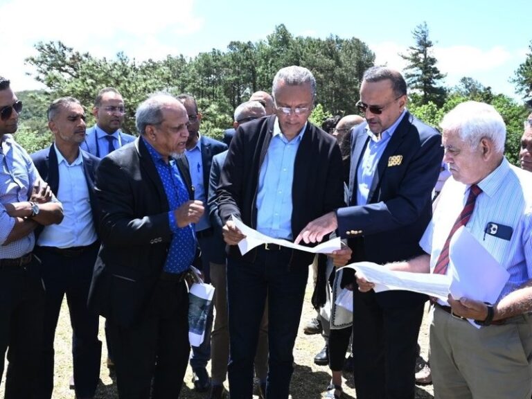 India Mauritius strengthen energy ties with floating solar project