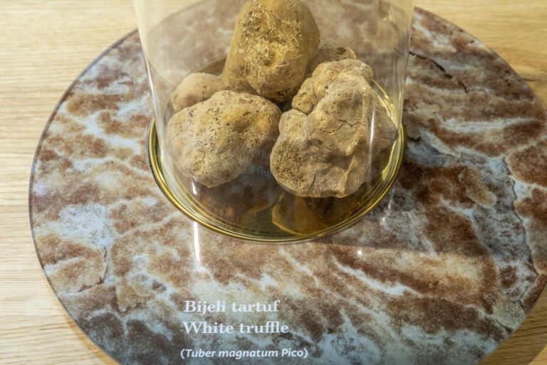 Istrian truffles fetch €17500 at London auction