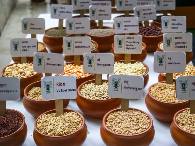Modi launches Rs 11440 crore pulses mission for self sufficiency
