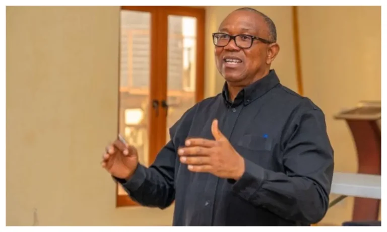 Peter Obi dismisses fears of one-party state in Nigeria
