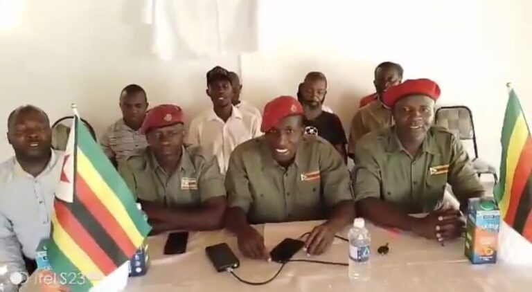 Police target youth group behind anti Mnangagwa video ahead of October protests