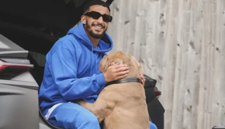 Saïd Benrahma fined £12,000 over dog attack in UK