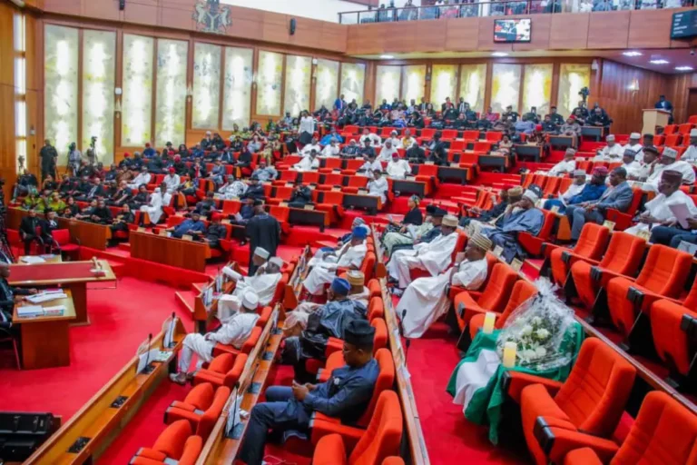 Senate urges Nigeria to act on Libya migrant crisis