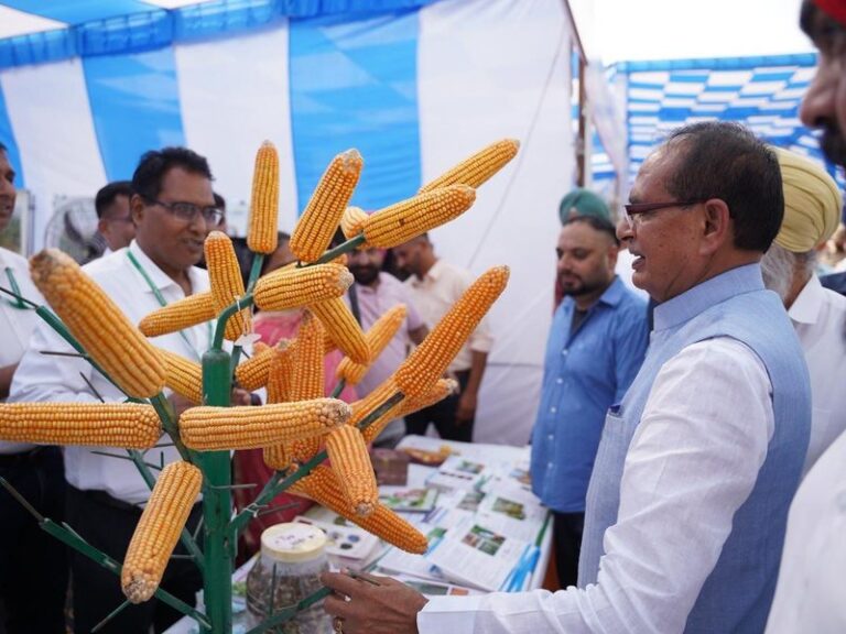 Shivraj Singh Chouhan announces Rs 1.60 lakh for flood hit Punjab families