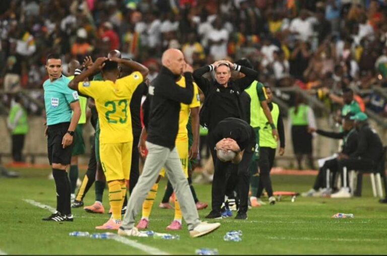 Ten man Zimbabwe halt South Africa dreams in Durban draw 1