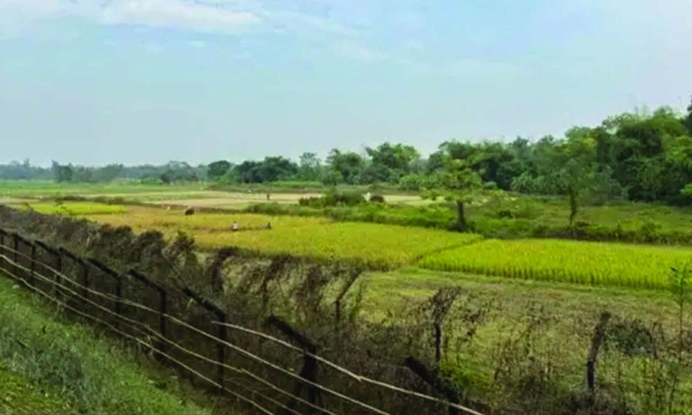 Three Bangladeshis beaten to death in Tripura