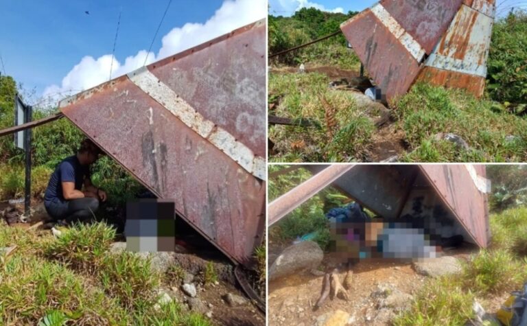 Two guides detained after hiker’s death on Gunung Liang