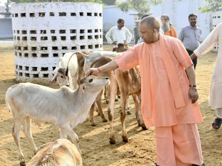 Uttar Pradesh promotes cow based products for Diwali under Vocal for Local drive