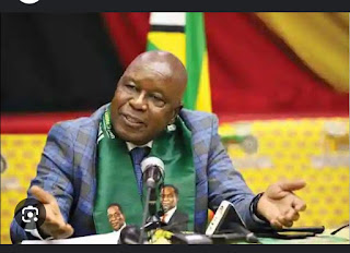 Zanu PF to back Mnangagwas 2030 bid at Mutare meet