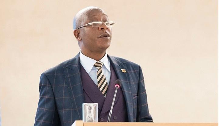 Ziyambi defends Zanu PF push for Mnangagwa term extension