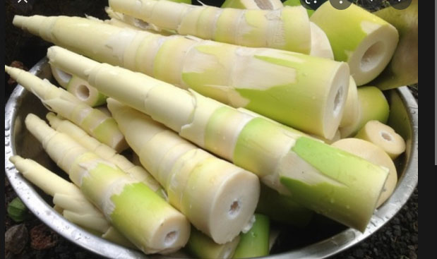 Bamboo prices rise as Myanmar struggles to meet export demand
