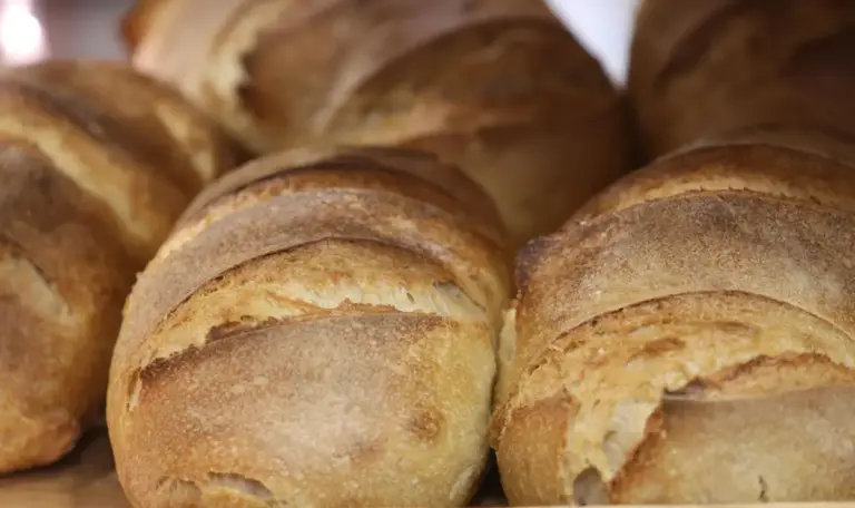 Bulgaria’s bakers warn of bread price hikes due to costs