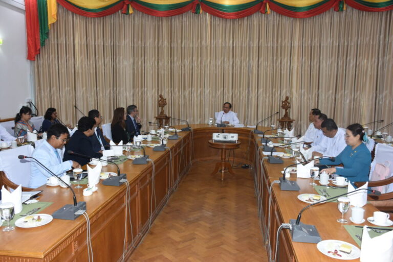 Myanmar health boss woos Gavi elites