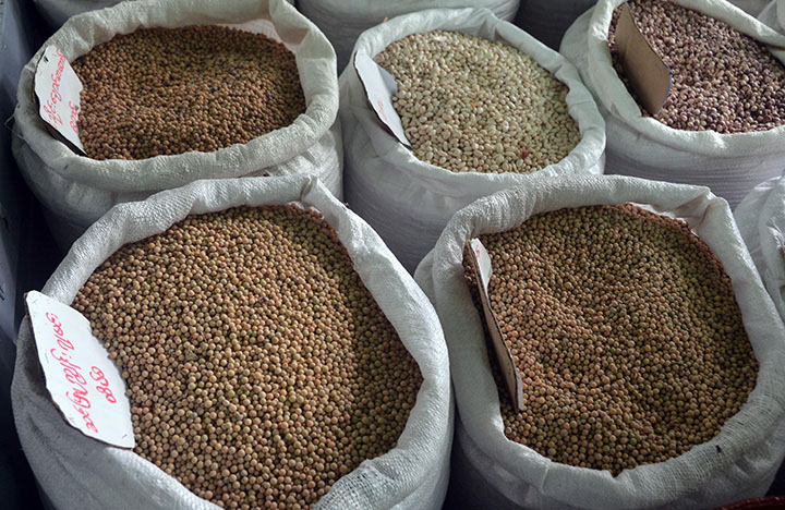 Myanmar plans soybean output rise in Ayeyawady, Bago