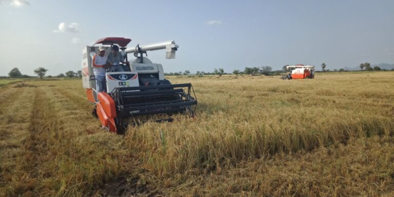 Myanmar seeks foreign investment in farming