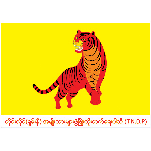 Sai Htay Aung pleads Shanni pride push