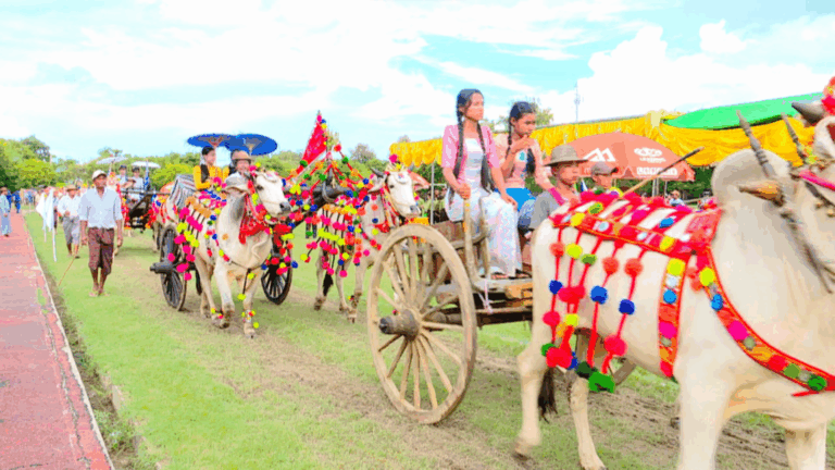 Tatkon bullock cart contest crowns champions
