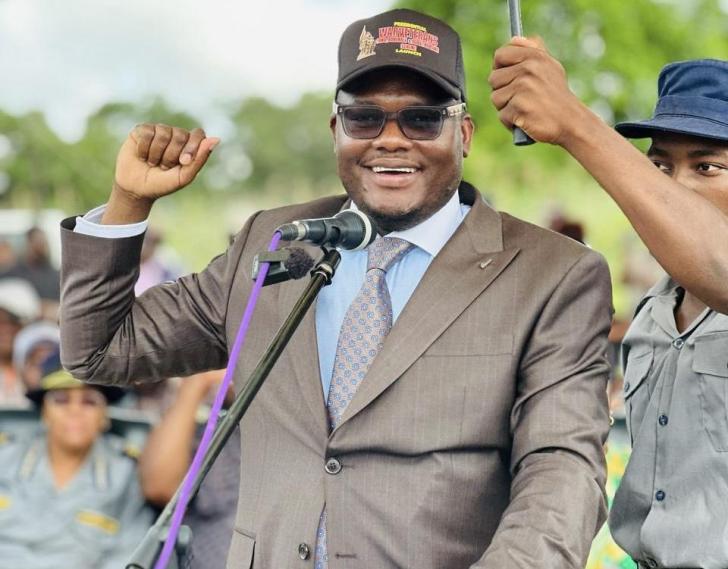Tungwarara defends Mnangagwa, denies succession rumors