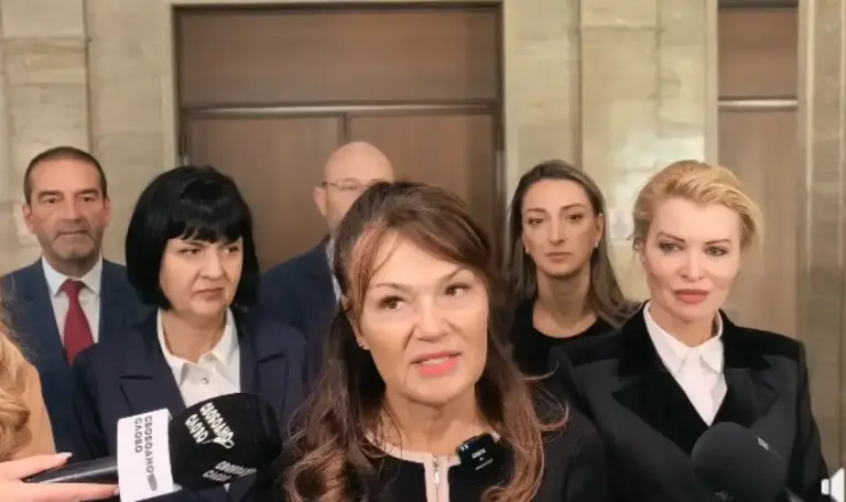 Velichye MP Ilieva faces probe over legitimacy row