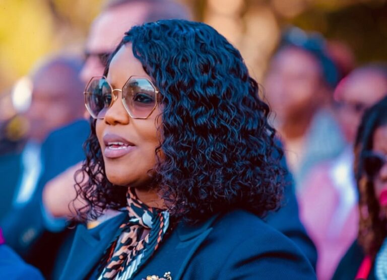 High Court orders Fadzayi Mahere to pay Tino Machakaire $33,000