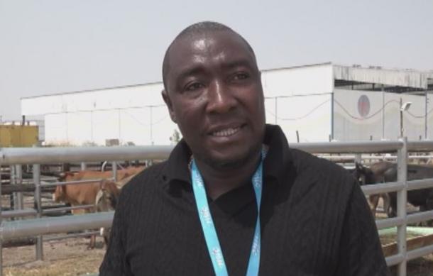 Ministry holds 15 livestock auctions in northern regions