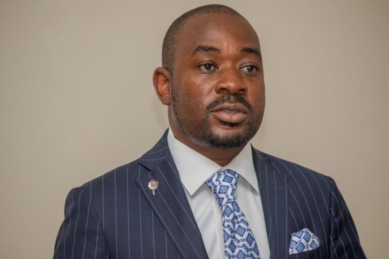 Nelson Chamisa rejects ZANU-PF language over 2050