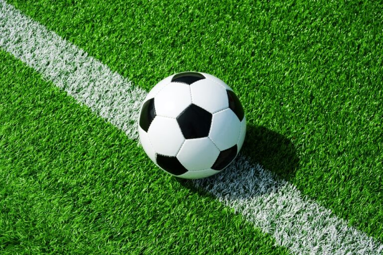 Referee bans 23 players after Cruzeiro brawl