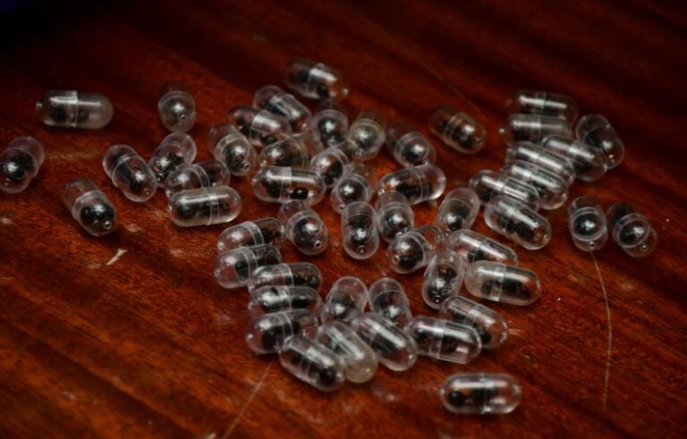 Zhang Kequn stays jailed over illegal ant trade